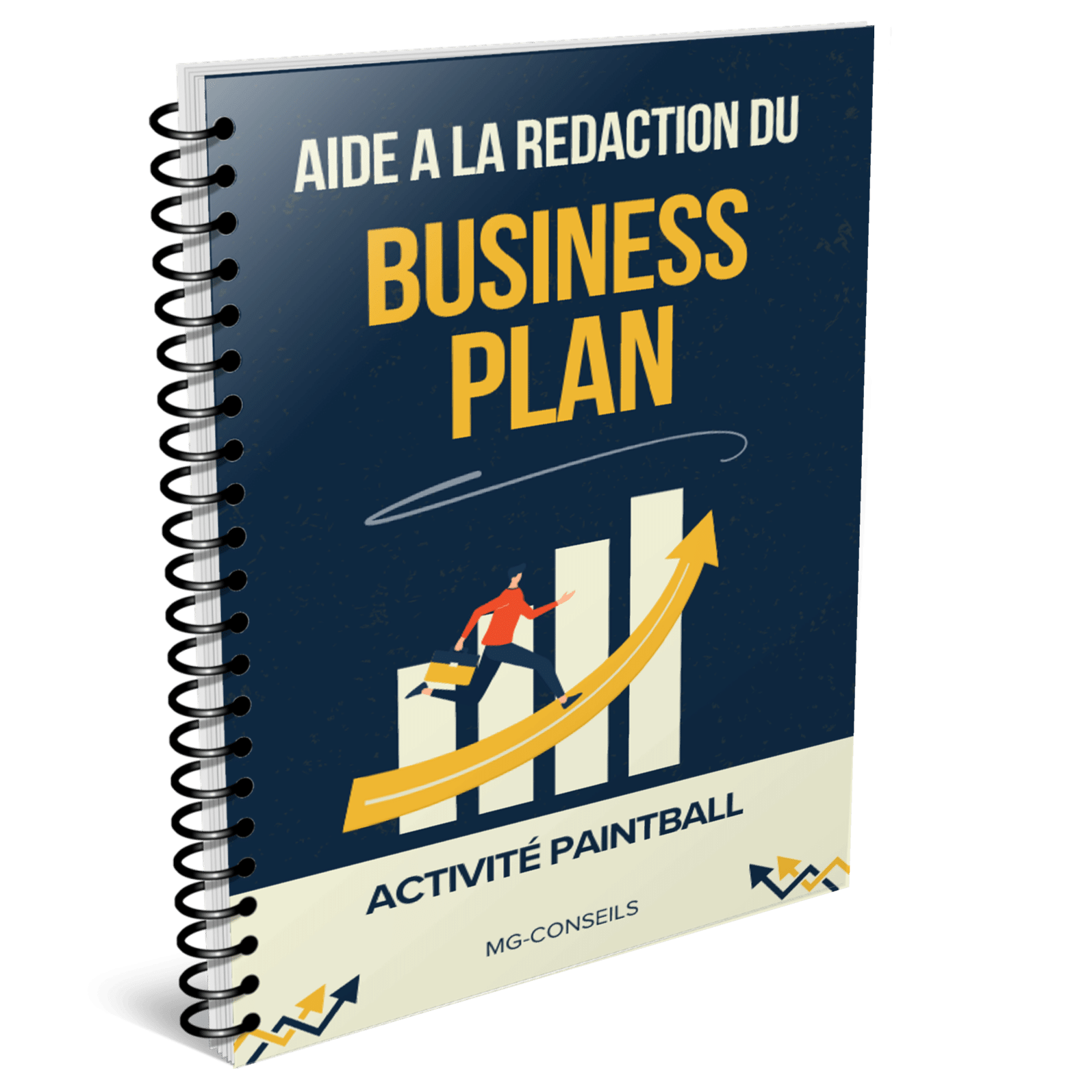 aide business plan